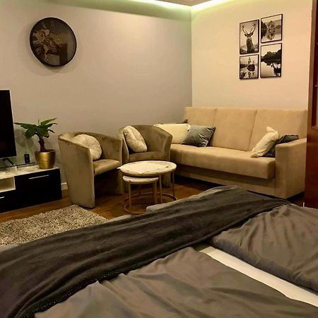Apartament Podczerwone Czarny Dunajec Eksteriør billede