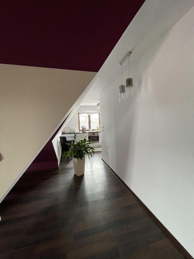 Apartament Podczerwone Czarny Dunajec Eksteriør billede
