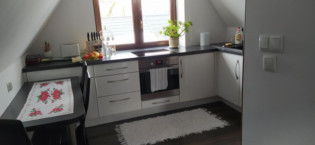 Apartament Podczerwone Czarny Dunajec Eksteriør billede