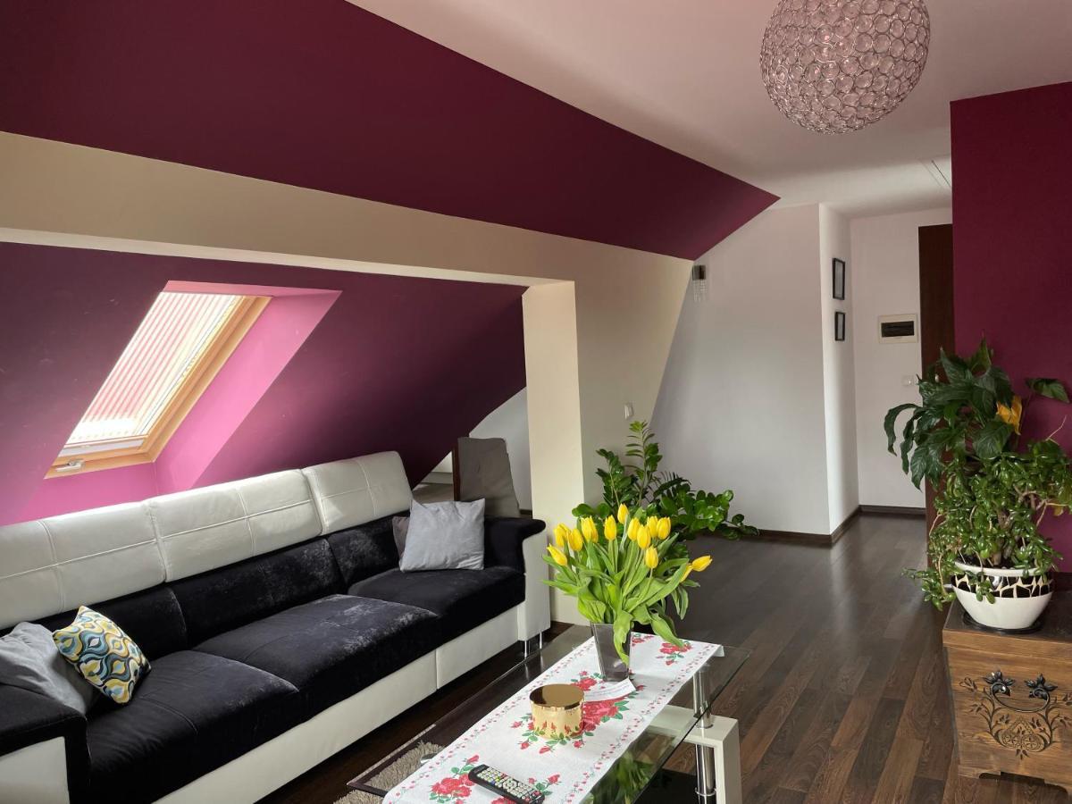 Apartament Podczerwone Czarny Dunajec Eksteriør billede