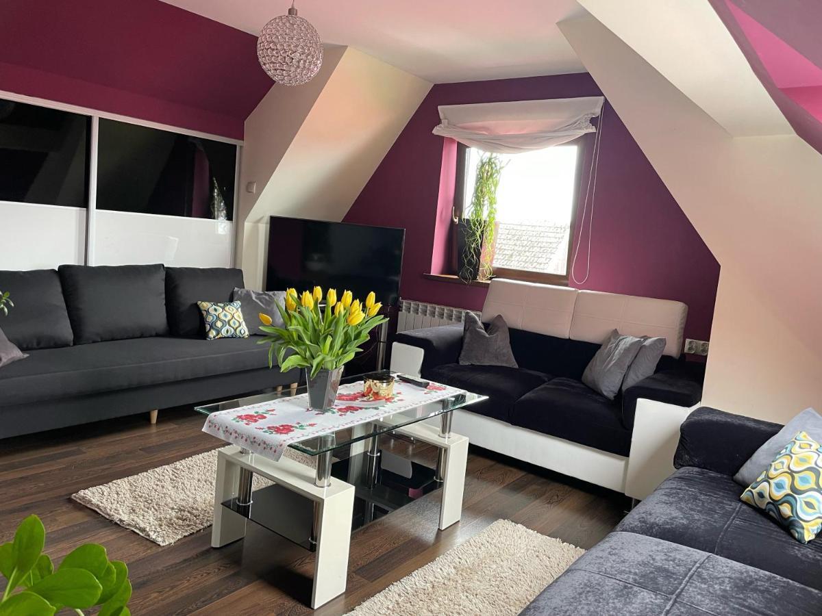 Apartament Podczerwone Czarny Dunajec Eksteriør billede